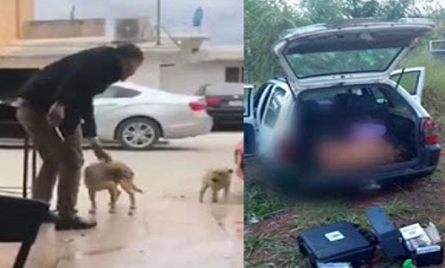 Mexicano que esfaqueou cachorro em bar é encontrado morto com mais de 50 facadas 