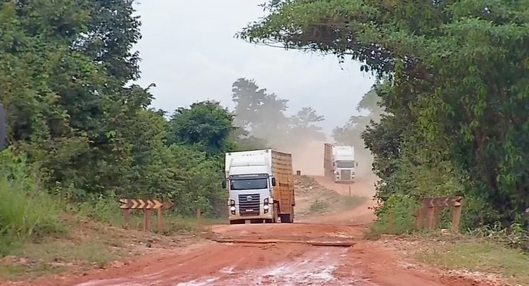 Atoleiros deixam BR-174 intransitável e animais morrem em gaiolas de caminhões parados 