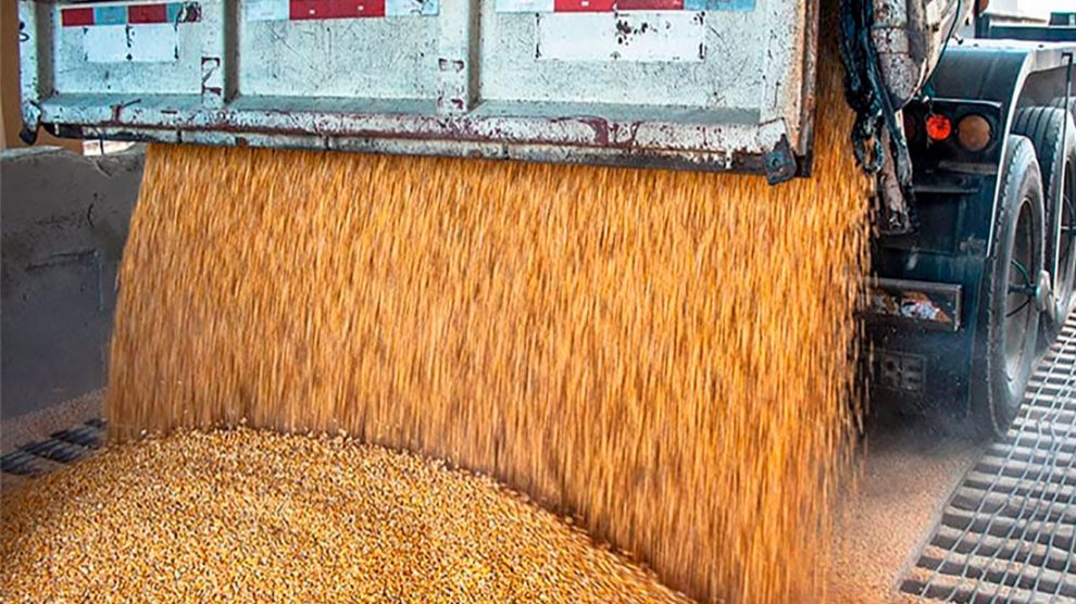 Mato Grosso já supera todo ano passado volume de exportações de soja 