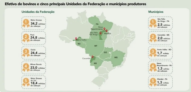 Com a maior produção do país, MT tem 9,5 vezes mais cabeças de gado do que gente, diz IBGE 