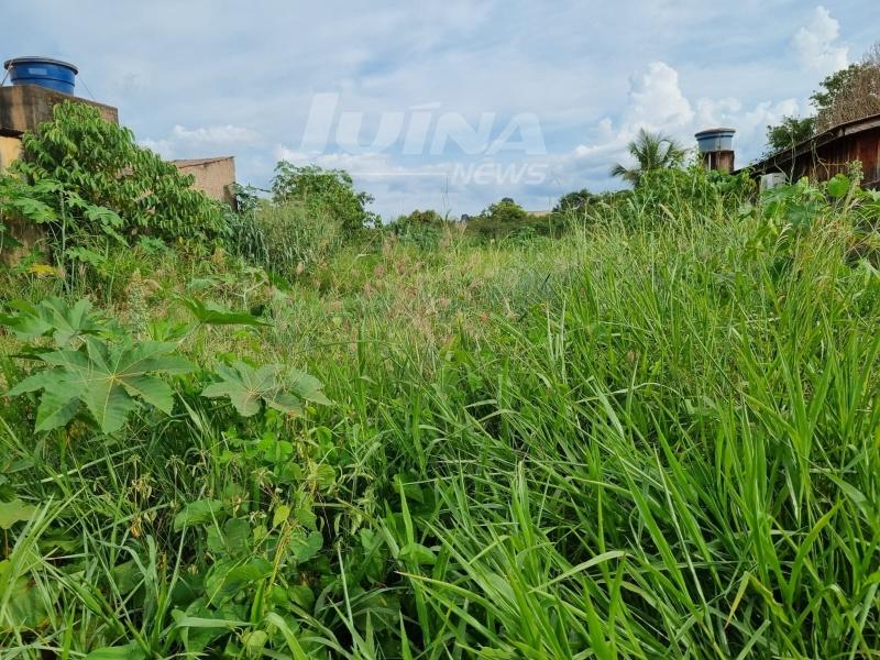 Projeto de Lei Complementar, vai multar quem deixar terrenos sujos em Juína 