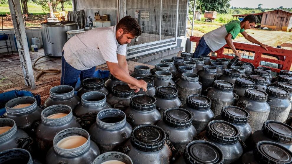 Sancionada duas leis pelo governo de MT para fortalecer a agricultura familiar 