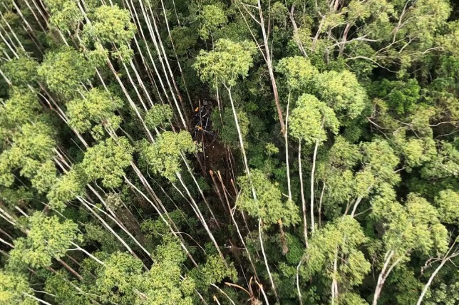 Helicóptero que desapareceu com 4 pessoas em SP é encontrado em Paraibuna após 12 dias de buscas 
