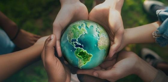Sicredi neutraliza emissões de carbono 