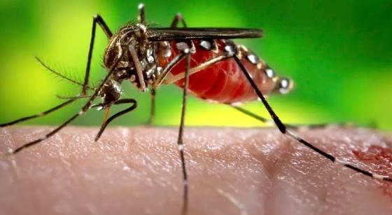 Município de Juína deflagra operação contra a Dengue 