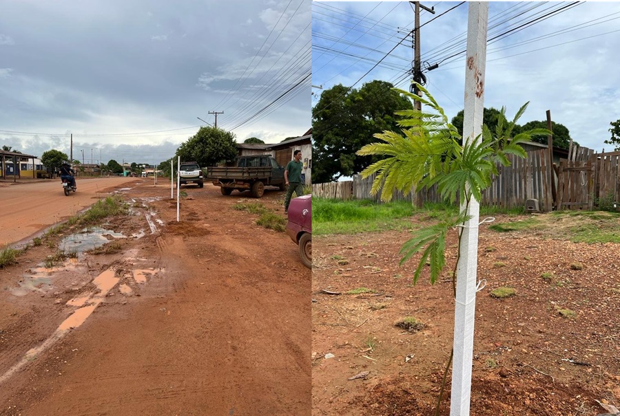 Campanha Cidade Verde: A Semam tem papel fundamental na Gestão Ambiental de Aripuanã