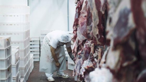 Aripuanã  e mais quatro municípios de MT vão exportar carne bovina para o Canadá