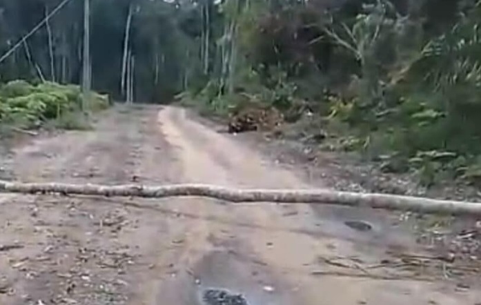 Jovem sofre descarga elétrica enquanto cortava árvore e morre no Nortão 