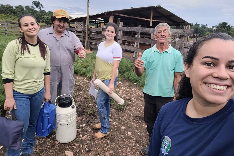 Programa Mais Pecuária Brasil promove melhoramento genético do rebanho em Aripuanã