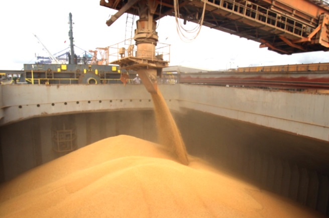 Exportação de milho do Mato Grosso cresce 12% 