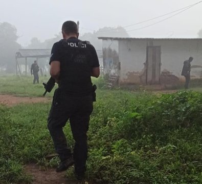 PC mira quadrilha de ladrões de gado em cidade de MT 