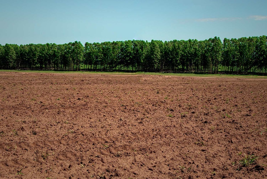 Agricultura celebra o Dia Nacional da Conservação do Solo 