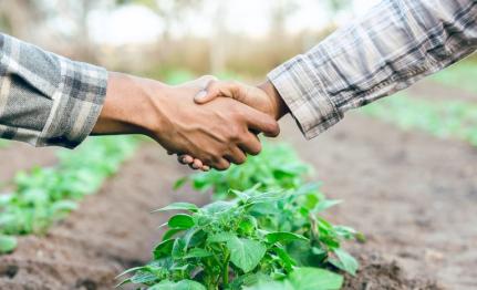 Produtores rurais podem renegociar dívidas do crédito rural até dia 31 de maio 