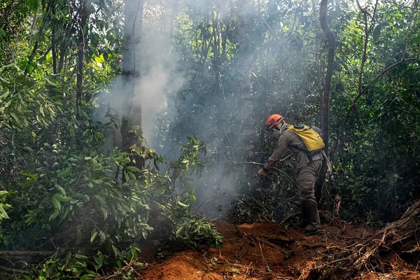 Período proibitivo de uso do fogo tem prazos diferentes para Amazônia, Cerrado e Pantanal em 2024; veja datas 