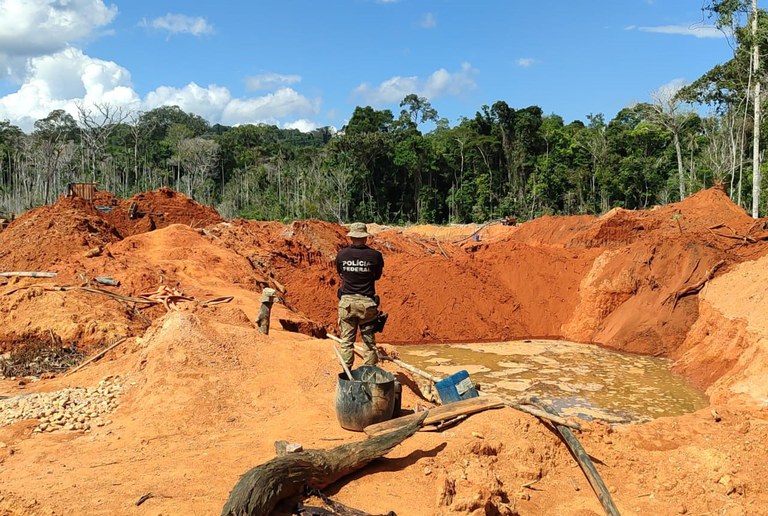 PF combate crimes ambientais na Terra Indígena Roosevelt e no Parque Aripuanã 