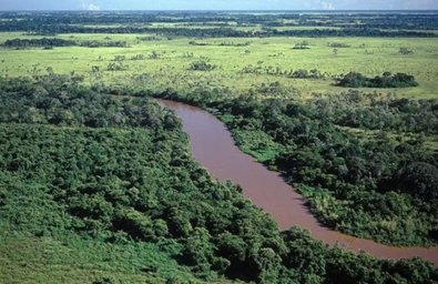 TJ atende ação de grupo de PCHs e manda Estado bancar obras no Pantanal 