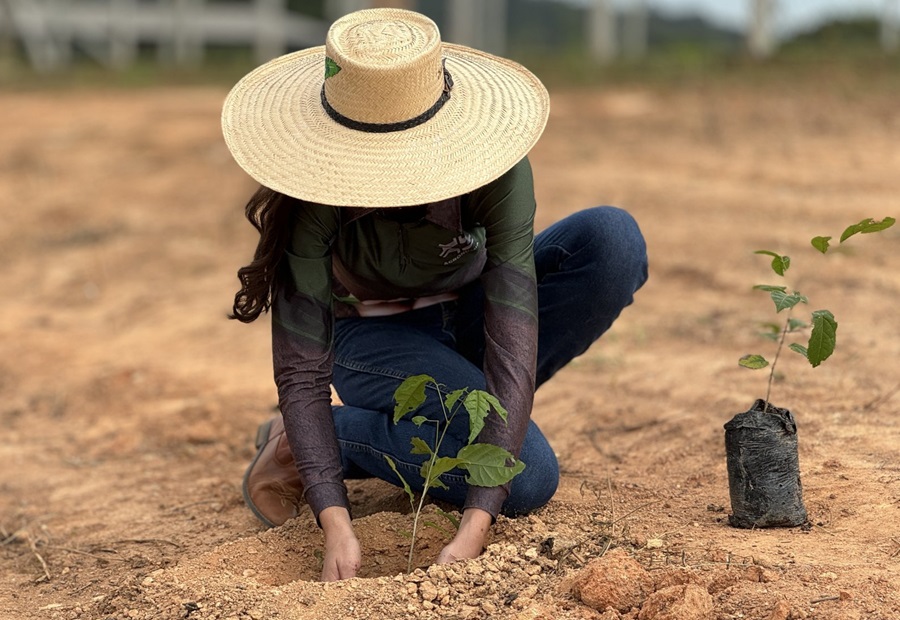 Secretaria de Meio Ambiente e estudantes de agronomia realizam plantio de ipês em Conselvan 