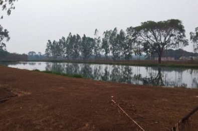 MP "manda" cidade acabar com podridão em estação de tratamento 