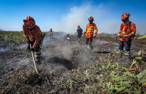 Processo seletivo é aberto com mais de 100 vagas para brigadistas em MT; O edital contempla Aripuanã e mais 22 municípios 