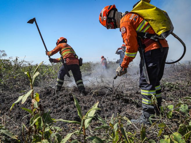 Corpo de Bombeiros divulga resultado das inscrições do processo seletivo de brigadistas 