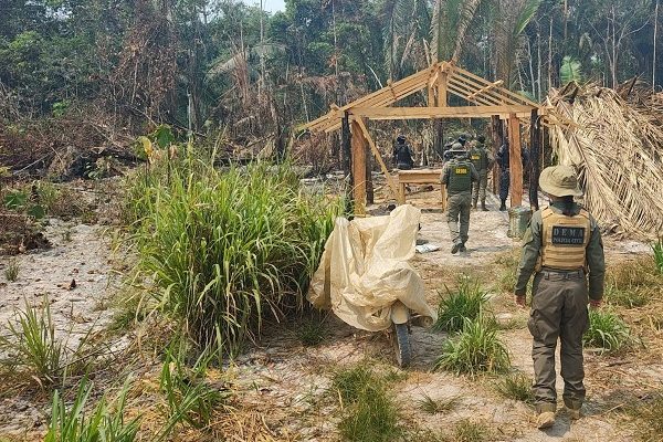 Operação conjunta combate crimes ambientais na Reserva de Guariba em Colniza 