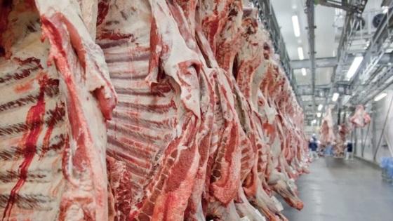 Exportação da carne de Mato Grosso aumenta 10% 