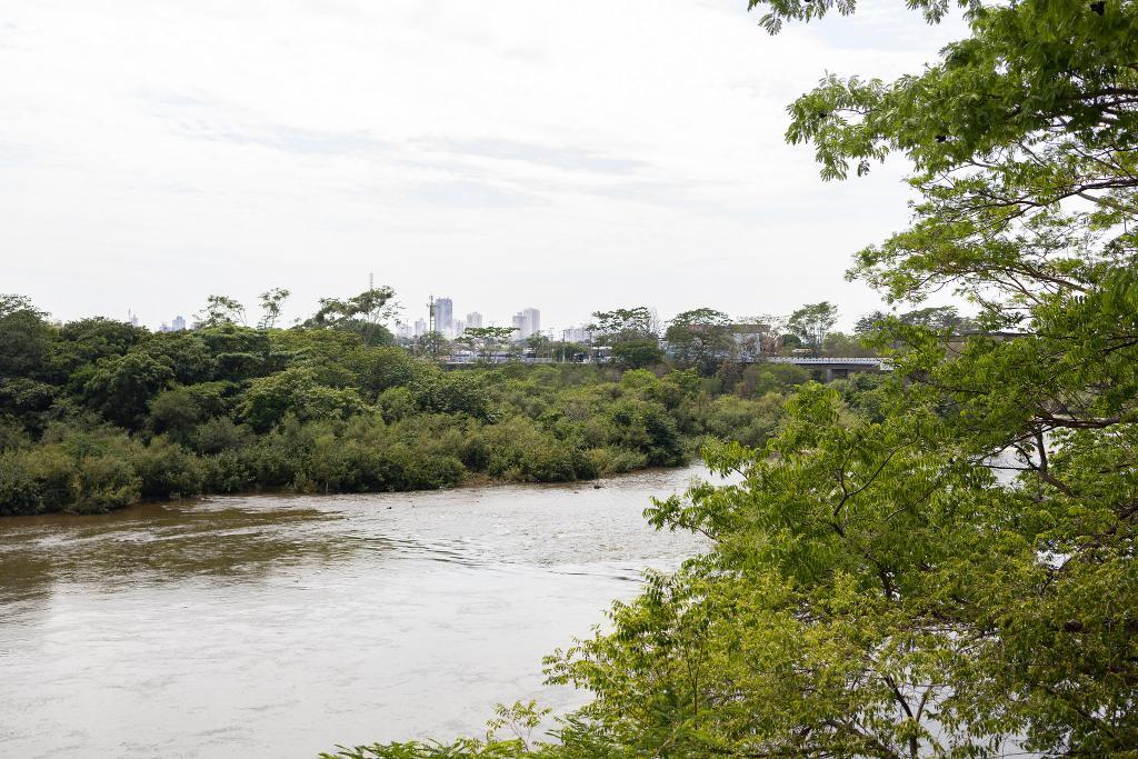 Defeso da Piracema em Mato Grosso será entre 1º de outubro e 31 de janeiro 
