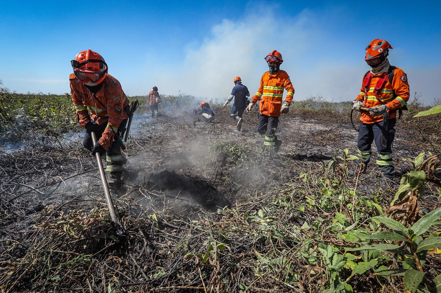 Corpo de Bombeiros divulga resultado e convoca aprovados no seletivo para brigadistas 
