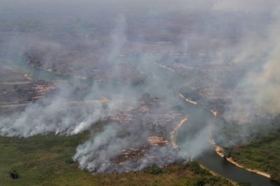 MT lidera queimadas no Brasil com 24 mil focos detectados em 2024 