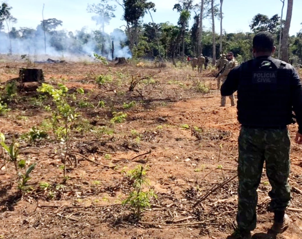 Polícia Civil já prendeu 16 pessoas por fazerem queimadas em florestas em MT 