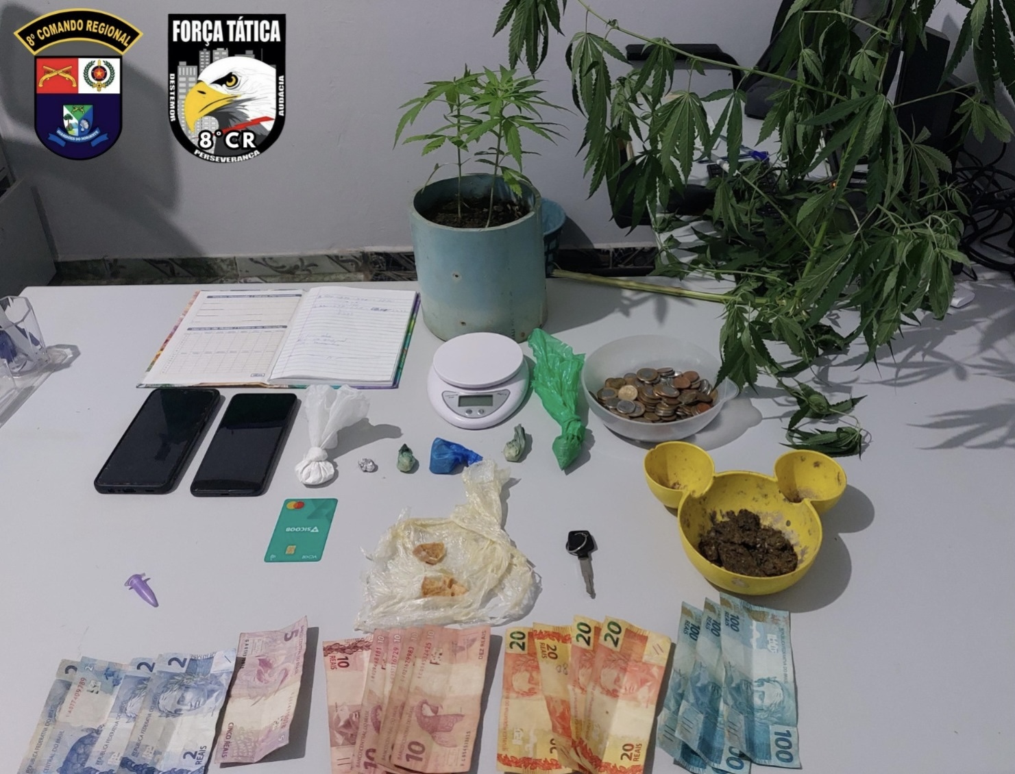 Polícia Militar prende jovem por tráfico de drogas em Cotriguaçu 