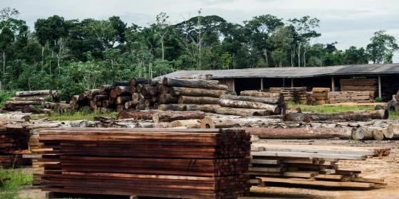 Levantamento revela que prefeituras em MT unem pasta de Meio Ambiente com outras "conflitantes" 
