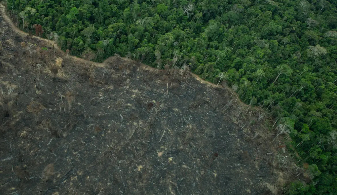 Terra Indígena Karipuna de Rondônia tem cenário de incêndio e seca 