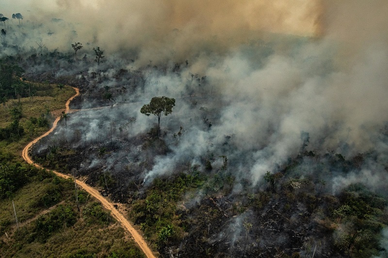 Ministro do STF exige explicações sobre queimadas em Colniza, Nova Maringá e Aripuanã 