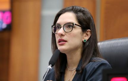 Janaina repudia fala de deputado sobre medida protetiva e quer retratação 