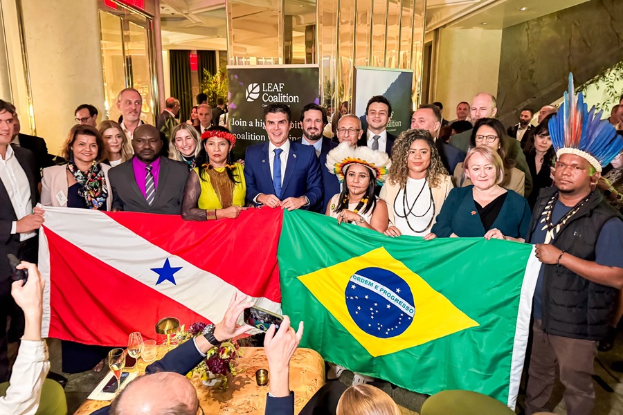 Pará anuncia a maior venda de créditos de carbono do mundo 