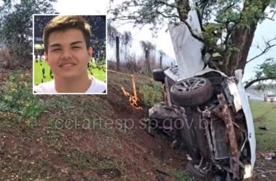 Médico de MT morre após bater BMW contra árvore em rodovia de SP 