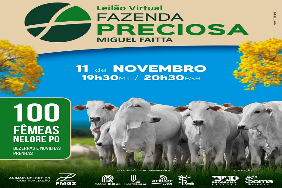 Fazenda Preciosa de Juruena realiza leilão virtual de fêmeas nelore PO no dia 11 de novembro