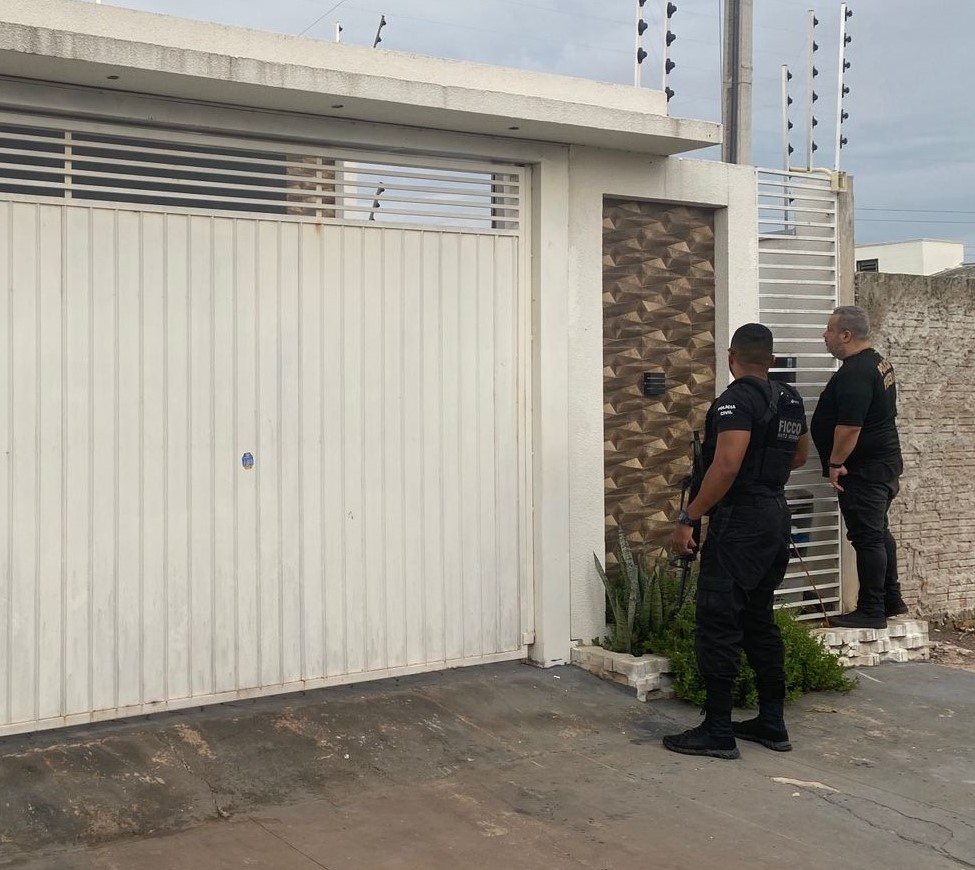 Operação Rota do Sertão desarticula organização criminosa que transportava droga e madeira ilegal em veículos clonados 
