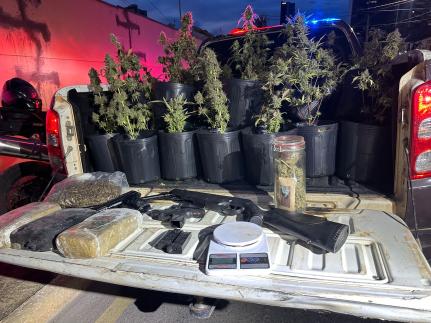 Arquiteto é preso com estufa com 60 plantações de maconha em Cuiabá