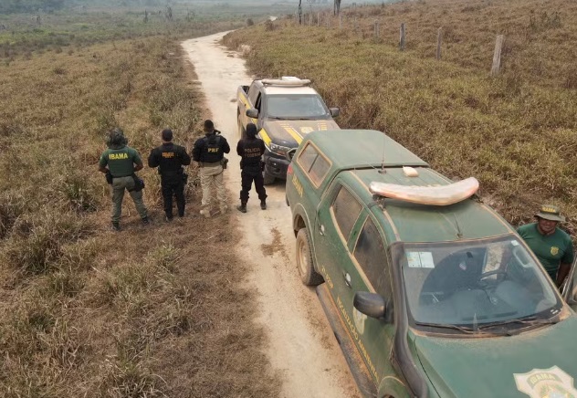 Operação da PF prende homem suspeito de desmatar cerca de 326 hectares de terras no Amazonas 