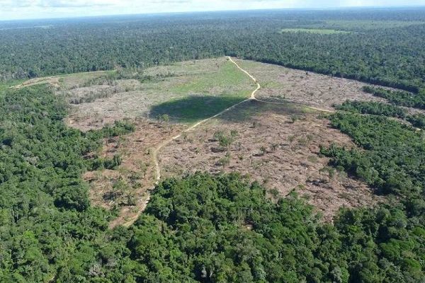 Governo federal aprova inclusão de municípios mato-grossenses em programa contra desmatamento 