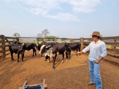 Novilhas leiteiras de projeto produzem 200% mais que a média 