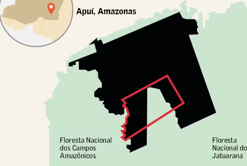 Fazenda na Amazônia gera token de carbono de forma irregular em terra da União 