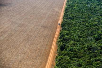 AL aprova projeto que reduz áreas de reserva legal em MT 