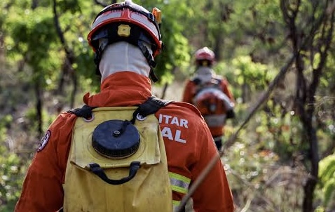 Bombeiros e Policiais Civis Buscam Idoso Desaparecido em Região de Mata em Aripuanã 