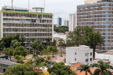 Semana do Meio Ambiente começa com foco em práticas sustentáveis 
