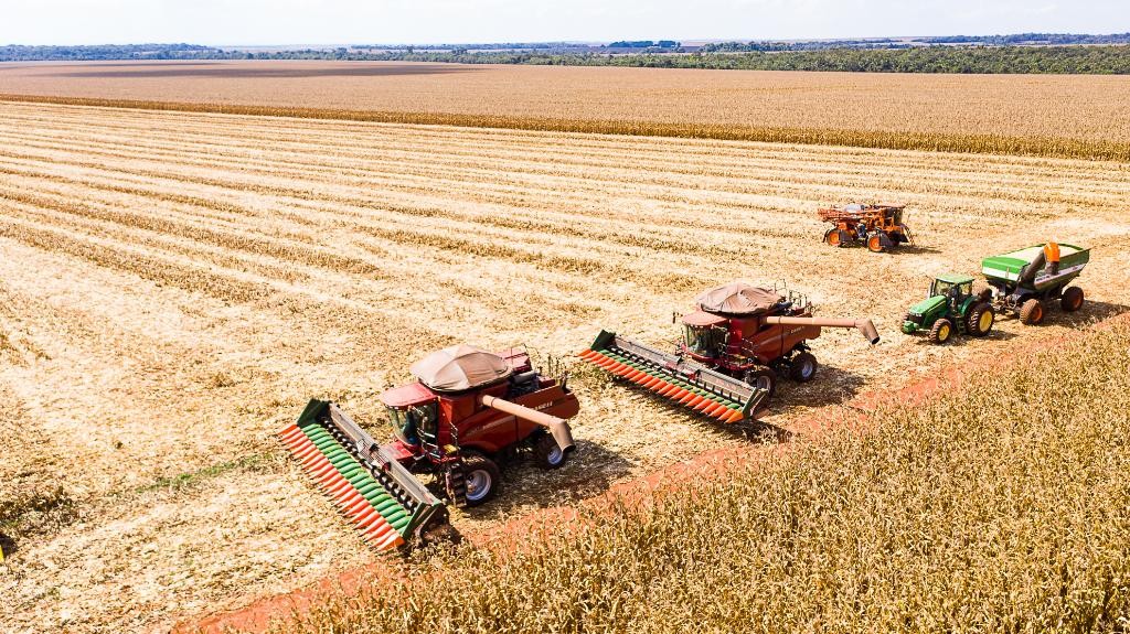 Mato Grosso inicia colheita de milho com produção estimada em 50,3 milhões de toneladas 