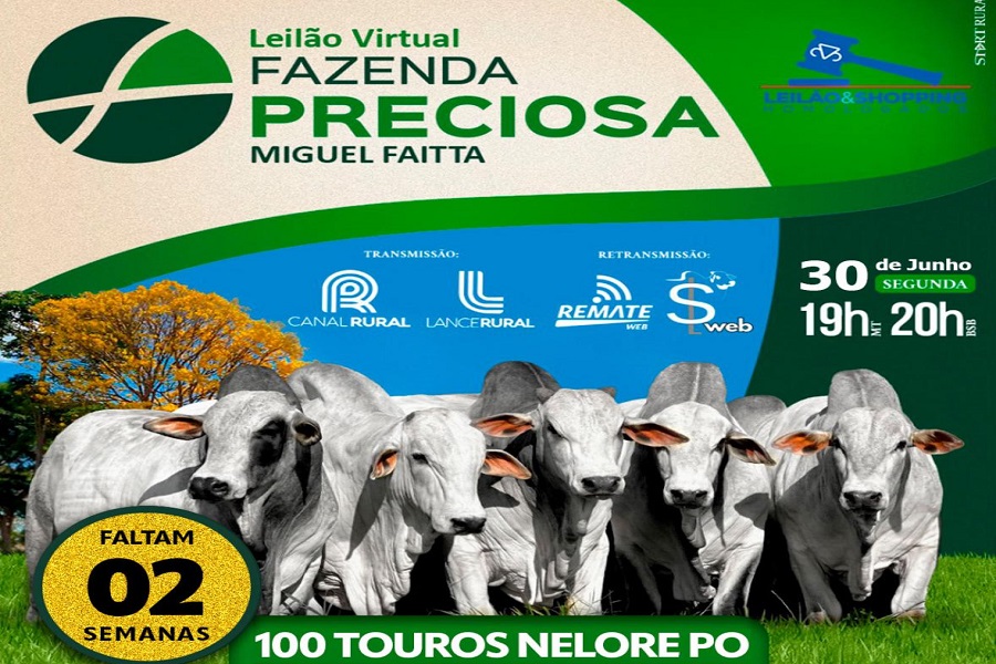 Fazenda Preciosa realiza Leilão virtual de Touros Nelore PO com excelência genética no dia 30 de junho 