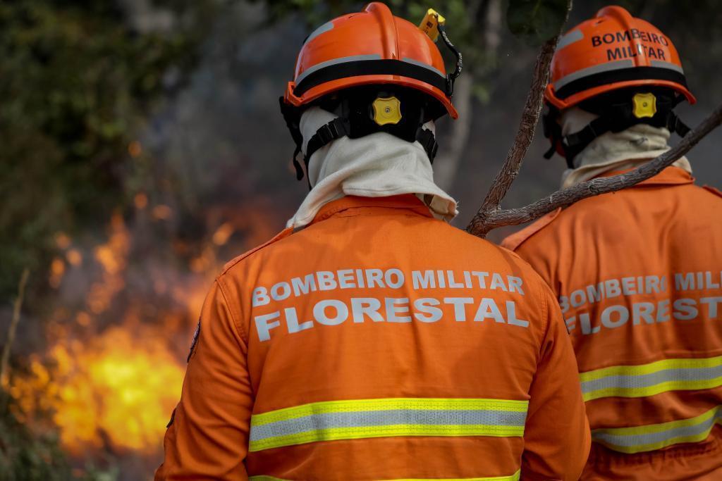 Uso do fogo no Cerrado e na Amazônia está proibido a partir desta terça-feira (1º) em MT 